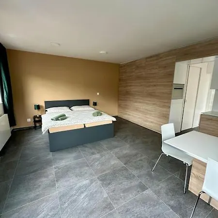Apartment Palac Anezka C1 *