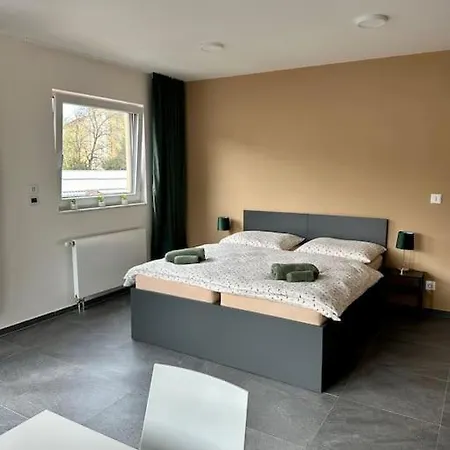 Apartment Palac Anezka C1 Brno