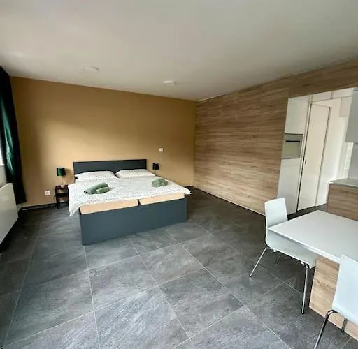 Apartman Palac Anezka C1 *